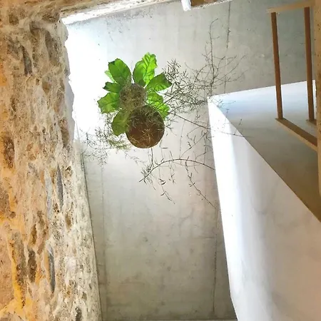 Διαμέρισμα Element Viseu