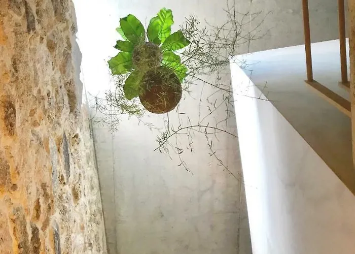 דירה Element ויסאו